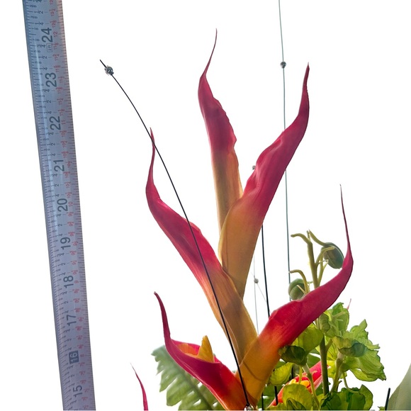 BRAND NEW *Modern, Gorgeous” Bird of Paradise Silk Floral Arrangement 2ft Tall!! - Picture 5 of 6